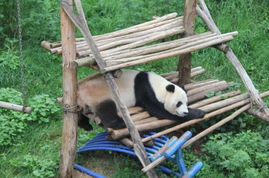 三、 旅行较小贴士，让你的旅程更加顺畅