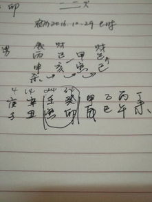 己酉己巳己亥己巳男命，四柱纯阴究竟隐藏着哪些玄妙命运奥秘？