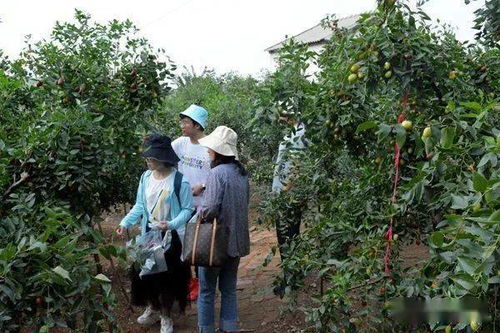 八、“预订攻略”和优惠信息