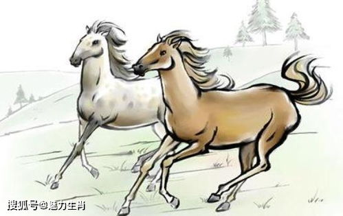 2026年属马的人会有三喜，他们的健康运势如何？