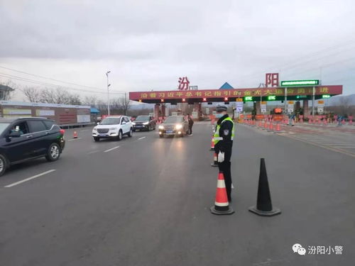 半天行程？听起来像个挑战！