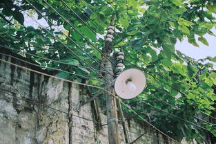 第二章：夏日蝉鸣与记忆碎片