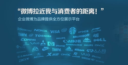 名人效应利用技巧