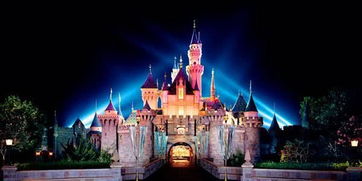 2026年血泪案例集