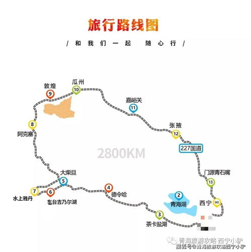 美食？都是垃圾！