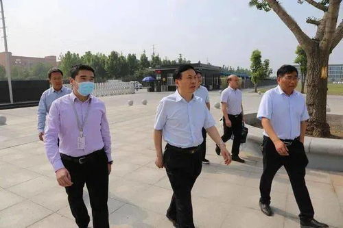 漯河镇河铁牛——铁Zuo的牛牛