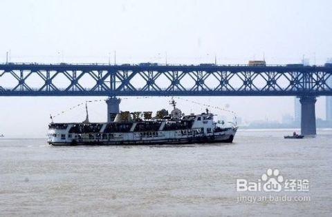武汉旅游：一场混乱与美味的荒诞剧