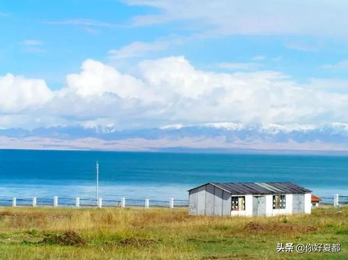 第二段：草原与湖泊的混沌交响