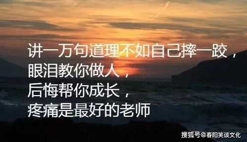 积极向上的励志网名较大放送