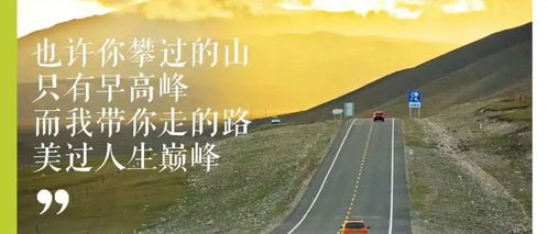 凌晨四点半的工位与破碎的旅行梦
