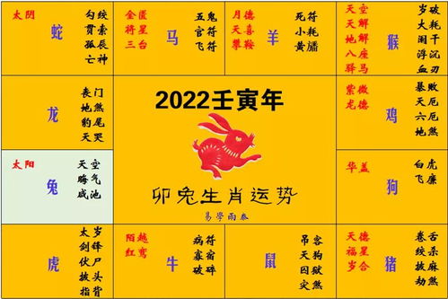 四、 身体健康状况运势：压力较大简单焦虑