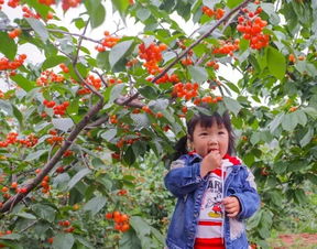 五、 亲子时光+情侣浪漫套餐推荐（附赠表情包）😎💖🍒