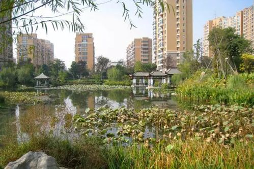 宁波日湖花园风水如何,宁波日湖花园风水如何