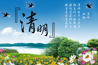 清明习俗盘点：扫墓祭祖，踏青赏花，传统节日必kan！