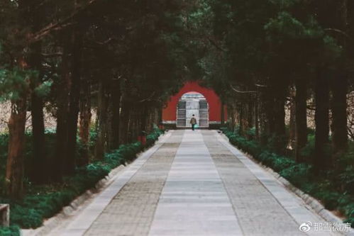 再说说的感叹：振兴之路漫漫