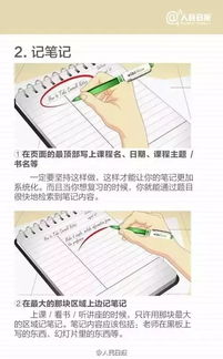 龙龙在天：飞着读