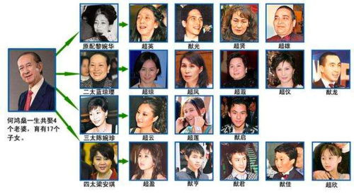 黎婉华八字命理测试，如何从八字中分析命运走向？