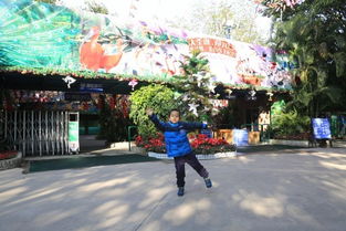 广州长隆——人挤人动物园