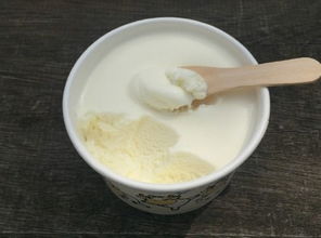 椰奶冰淇淋
