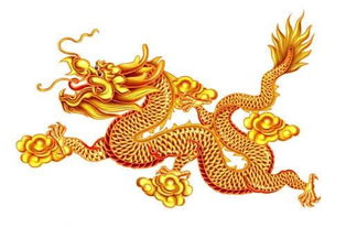 第二名：生肖龙