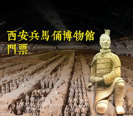 四、情感炸裂：我为什么爱上这堆陶俑？