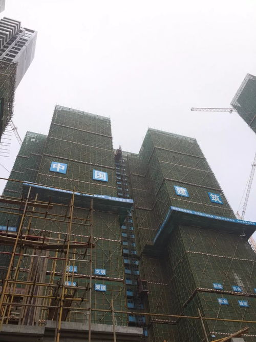 天津傅,建筑风水设计师