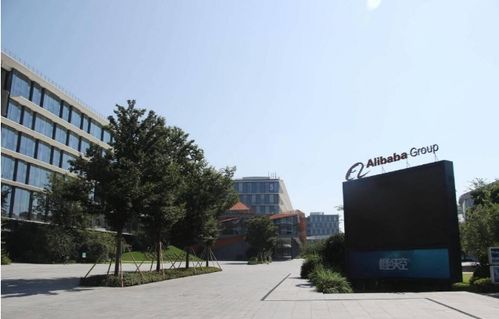 命名策略：打造专属禅修社群