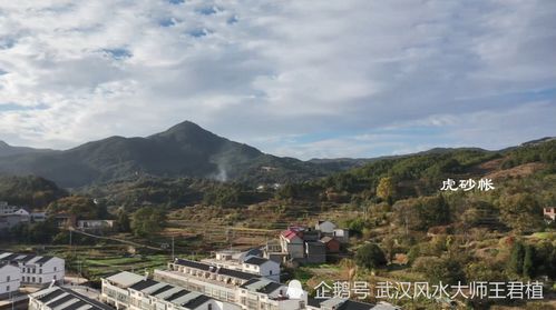 甘肃风水大师排名中，这位风水大师的预测准确度如何？