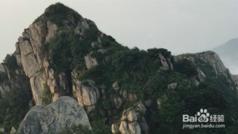 早起上班族必看：赶在第一缕阳光下登顶!