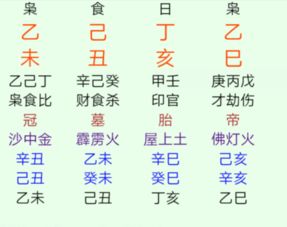 八字日柱乙亥格局与运势有关吗？乙亥日柱有哪些富贵格局？