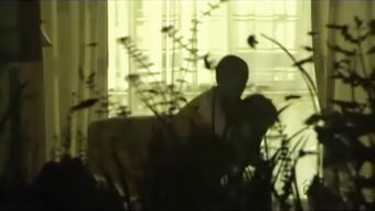 第二章：妖异花朵与五行的错乱