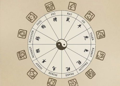 如何同过八字或生肖判断属什么命？