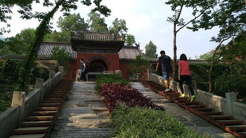 第四站：寺庙道观求签解签
