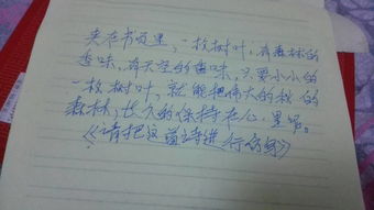 风水墙有什么讲究,行墙砖风水