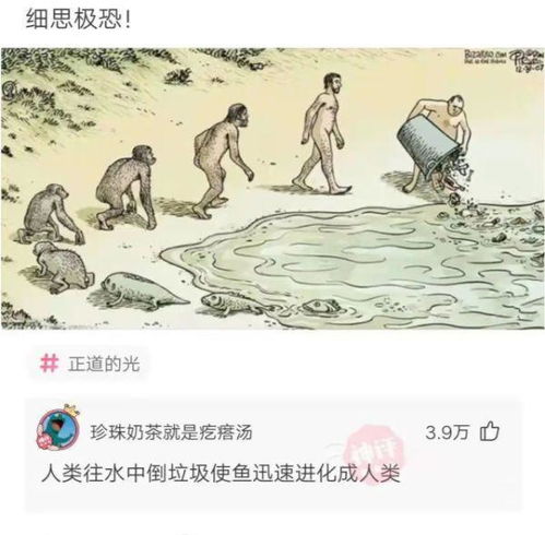 夜半江中的风水局：破釜沉舟背后的玄机