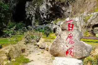 二、 天然氧吧——负氧离子炸弹现场直击