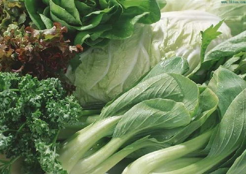 六、 美食与补给站：山里没有快餐，却有…?
