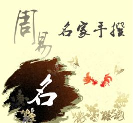 2. “晓”与“天”：意象碰撞下的诗意诞生
