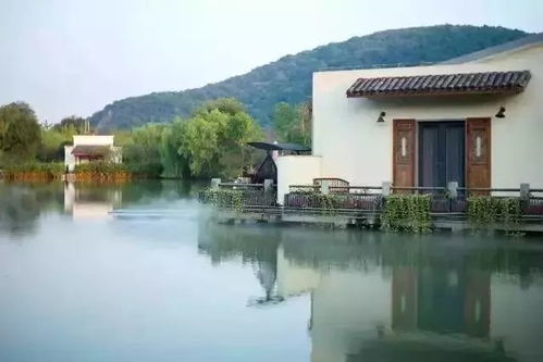 啊！草原河边房子风水竟然这么神奇？看完我裂开了！