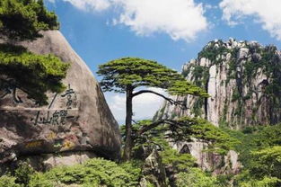 塞西站：意外发现的宝藏入口