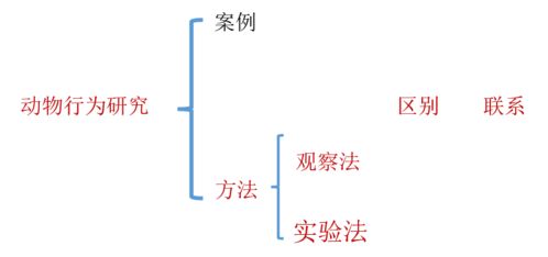 ：星座、风水与植被的奇妙交织