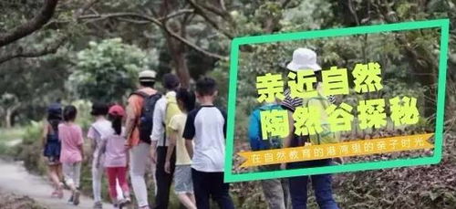 龙行天下(新疆)五一黄金周
