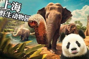 亲子游攻略：从早到晚完整流程（含噪音篇）