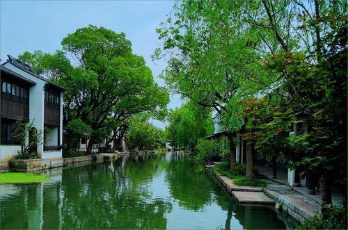 未知惊喜：夜游黄浦江（不是上海）还是其他地方？让我们一起去探寻吧~