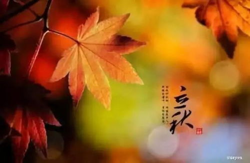 立秋后运势逆袭指南！2026年黄历+天气预测全公开