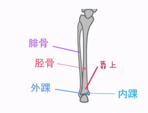 脚大拇指超长，命运改写，能成就非凡事业吗？