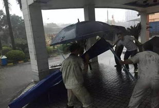 梦见狂风暴雨玻璃碎，这预示着什么？刮大风时玻璃碎了有什么特殊含义？