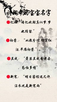 第四章：文化底蕴典故与诗词引用