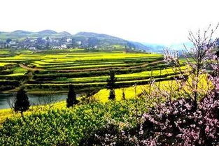 农村旅行， 漂亮经济持续发展崛起（加点情绪）