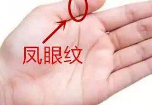 手相中的“夫子眼”：聪明干练， 一举成名